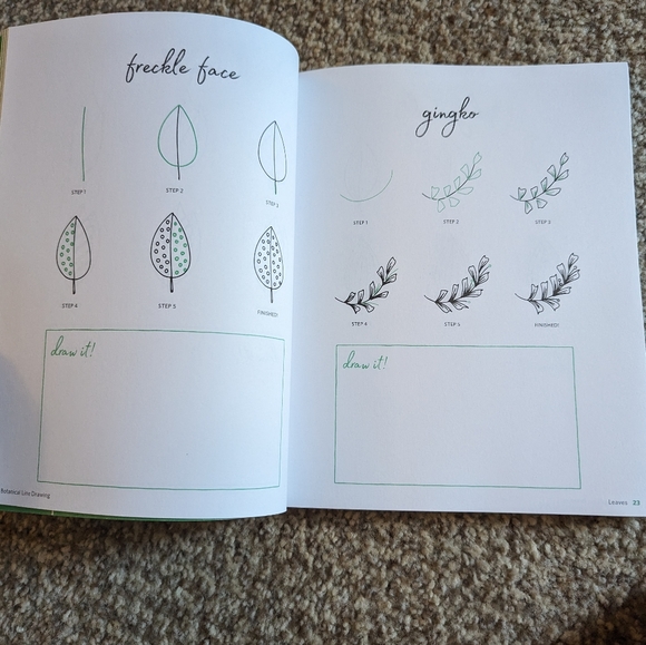 Botanical Line Drawing 200 Step-by-step cacti, leaves, flowers, succulents - Picture 9 of 16